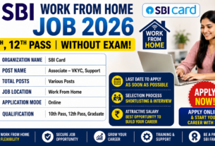SBI Work From Home Job 2026 for 10th,12th Pass without Exam
